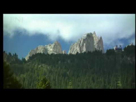 Rơi lệ cho người - Đàm Vĩnh Hưng