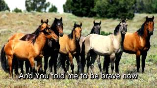 Margaret Becker - Horses