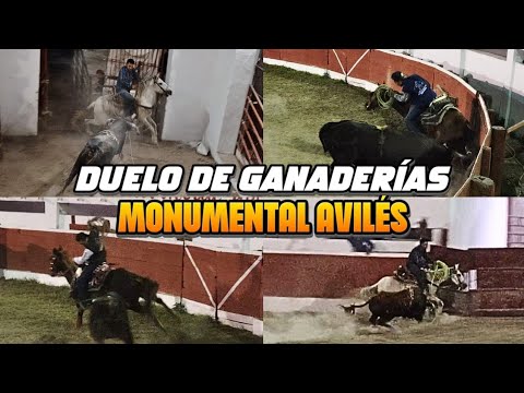 "THE MONUMENTAL BATTLE" / MONUMENTAL CATTLE SHOWDOWN AVILÉS / 07/12/2025