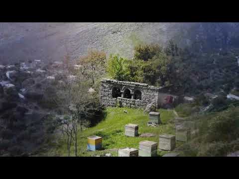 Këngë kushtuar Sulo Nesimi (Jaho) nga fshati Tatzat, Delvinë