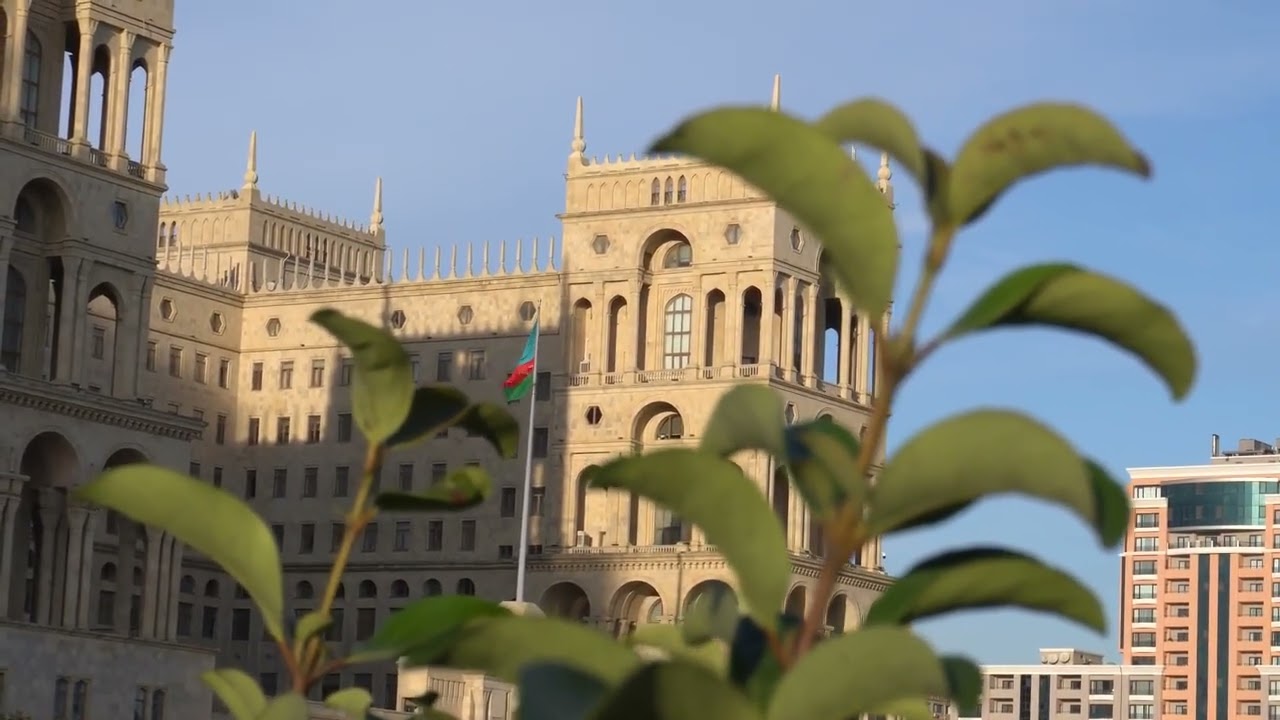 The African Woman Reshaping Global Climate Policy