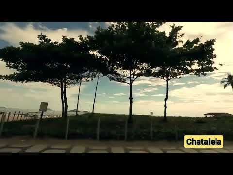 The Mal Gibson Project - Do Anything.