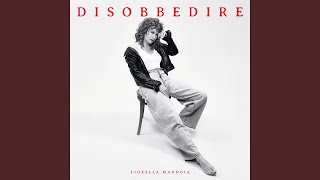 Libri Usati Lyrics English Translation