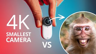 I Gave the Smallest 4K Camera to Monkeys – Insta360 GO 3S