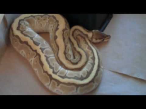 YouTube Video 8n9wqwJuS2A