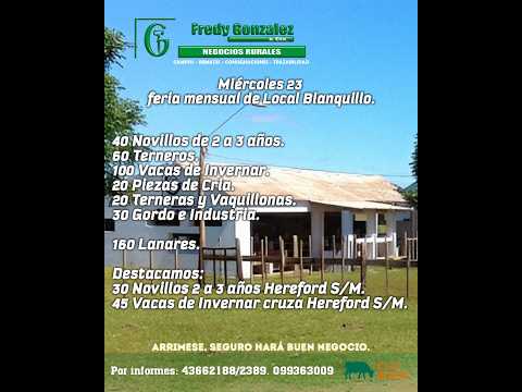 23/09/2026 Blanquillo - Durazno - Feria Mensual - Fredy González y Cía Ltda - Diego Prego