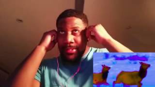 GENETIKK - JORDAN BELFORT REACTION