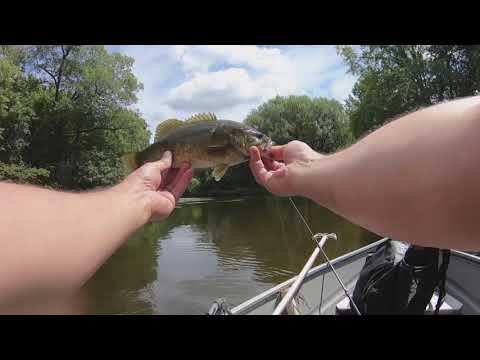 WHOPPER PLOPPIN " THE SHIAWASSEE RIVER FOR BIG SMALLIES (under water footage )