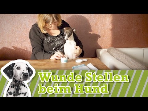 Schmerzen im Unterleib in der Mitte und auf der Rückseite gibt Schwellungen im Schultergelenk