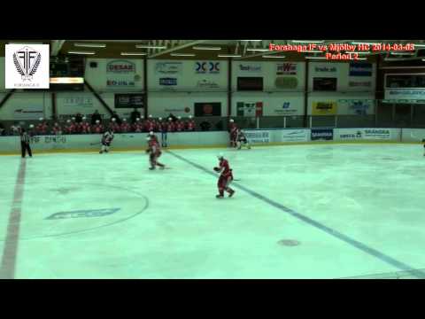 Forshaga IF vs Mjölby HC 2014-03-05