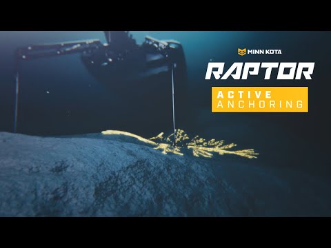 Raptor™ Shallow Water Anchors - Active Anchoring™