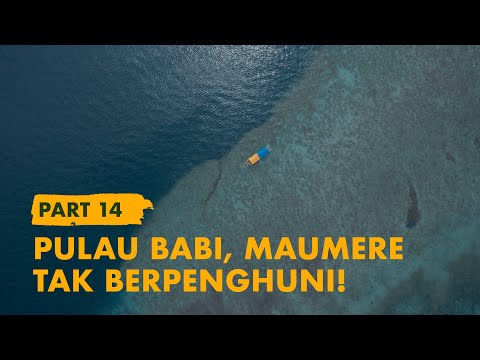 KELANA BENTALA - Eps. 14 Babi Island, an Uninhabited Island in Maumere