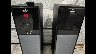 Auna Line A 100 2.0 tower speakers