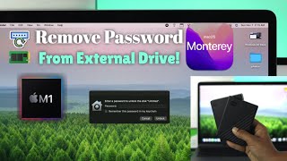 How To Remove Password Protection from External Hard Drive [MacOS Monterey]