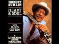 HUBERT SUMLIN (Greenwood ,Mississippi U.S.A) - Got The Blues