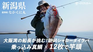 【タイラバ】大阪湾の船長が挑む！新潟シャロータイラバ 乗っ込み真鯛×12枚で竿頭 / 田中亜衣