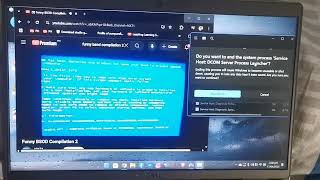 Monitor Screen Rage has BSOD