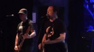 The Mr. T Experience - Here She Comes