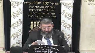 הרב אייל עמרמי | מציאת חן בעיני אלוקים | בית הכנסת חזון יעקב (בית הכנסת מוסאיוף) - התמונה מוצגת ישירות מתוך אתר האינטרנט יוטיוב. זכויות היוצרים בתמונה שייכות ליוצרה. קישור קרדיט למקור התוכן נמצא בתוך דף הסרטון