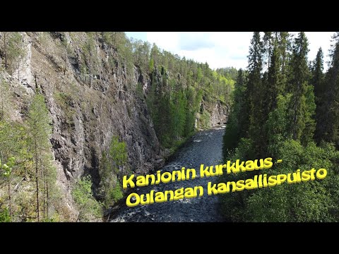 Kanjonin kurkkaus Oulangan kansallispuisto