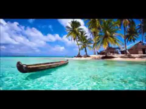 los sinay en directo