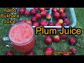 Refreshing Plum Juice Recipe Organic Plum Aaloo Bhukara Juice Pahadi Organic Fruits Juice