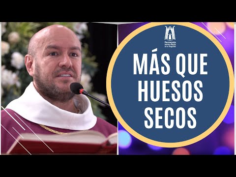 Más que huesos secos - Parroquia Santa María de los Ángeles