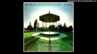 Coil - Horse Rotorvator [2001 remaster] -Blood From The Air