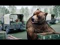 Did A Bear Become An Officer