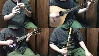 Re: [聊天] 用愛爾蘭樂器來表演公主連結的BGM