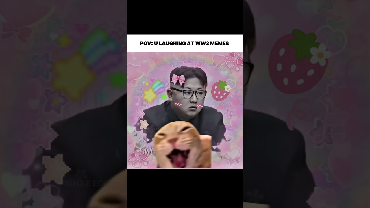 This is the end irl ☠️~ #trending #shorts #fyp #memes #reels #relatable #war #ww3 #dark #cat