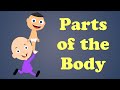 Parts of the Body | #aumsum #kids #science #education #children
