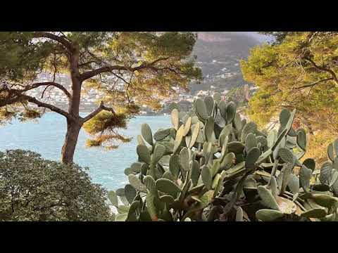 image : Le sentier des douaniers Roquebrune-Monaco