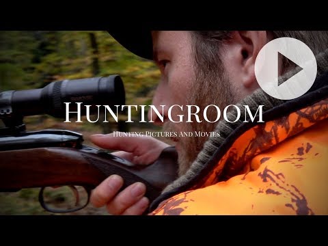 Drückjagd - Sauen & Rotwild - A HUNTINGROOM Story #7