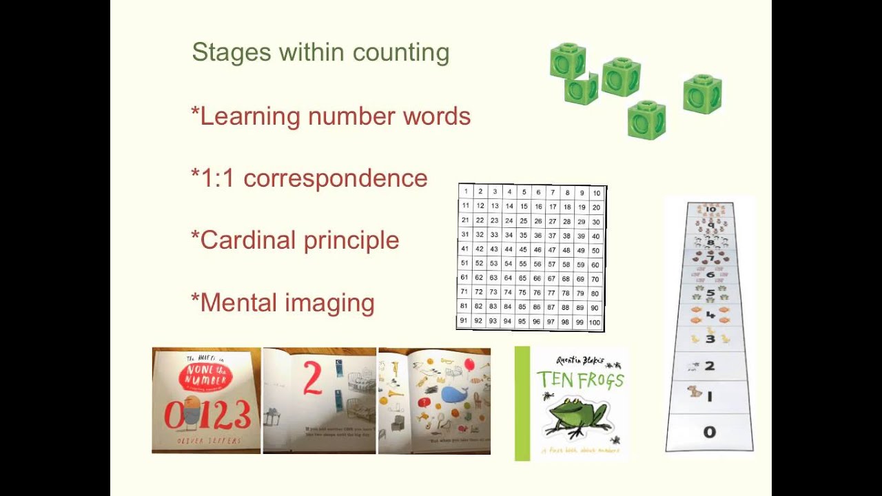 Developing Early Number Concepts