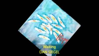 Dan Siegel - WAITING