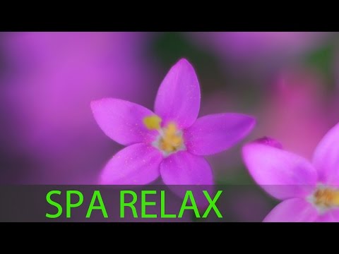 Relaxing Spa Music, Stress Relief Music, Relaxation Music, Sleep Music, Massage Music, Relax, ☯344