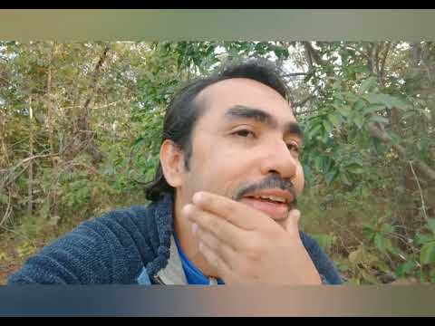 MEDITAÇÃO E TENEPES.