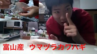 富山魚津産   ウマヅラカワハギを捌いてみた