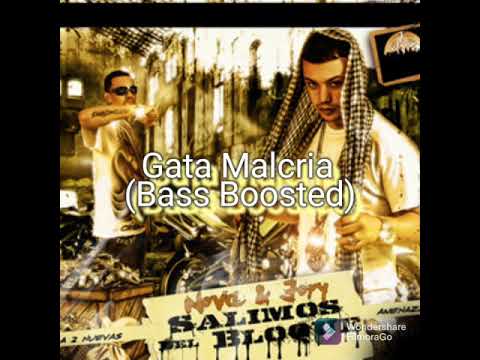 Gata Malcria - Nova y Jory (bass Boosted)