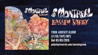 of Montreal - Bassem Sabry [OFFICIAL AUDIO]
