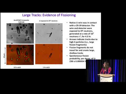 ICCF-21 - Pam Mosier-Boss - Hybrid Fusion-Fission Reactor Using Pd/D Co-Deposition