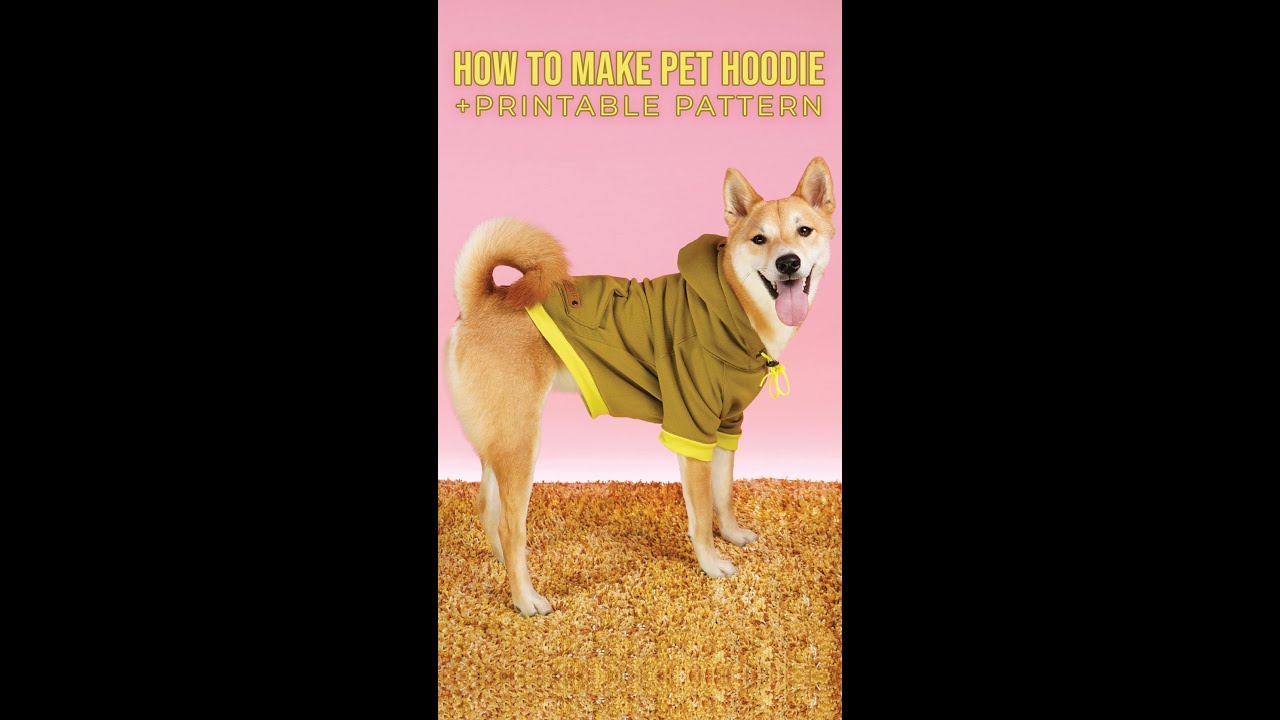DIY PET HOODIE #shorts #sew #sewing #diy