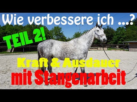 INSPIRATION FOR YOUR BAR TRAINING | How do I improve...?