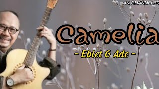 Download lagu CAMELIA IV - EBIET G ADE ( Lirik Lagu ) mp3