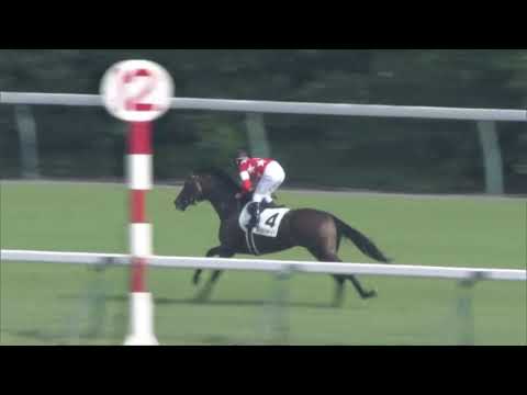 2021 Tokyo Yushun (Japanese Derby) International Group 1 2400m