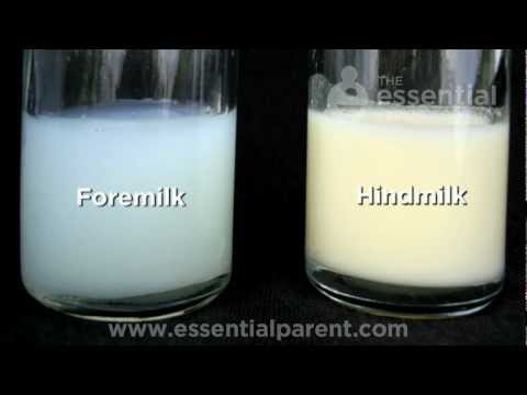 Breastmilk and the difference between Colostrum, Foremilk & Hindmilk - How Breastfeeding Works