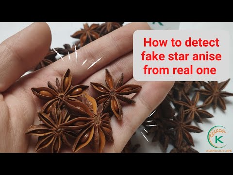 How to detect fake star anise from the real one