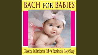 Bach's Minuet (Baby Classical)