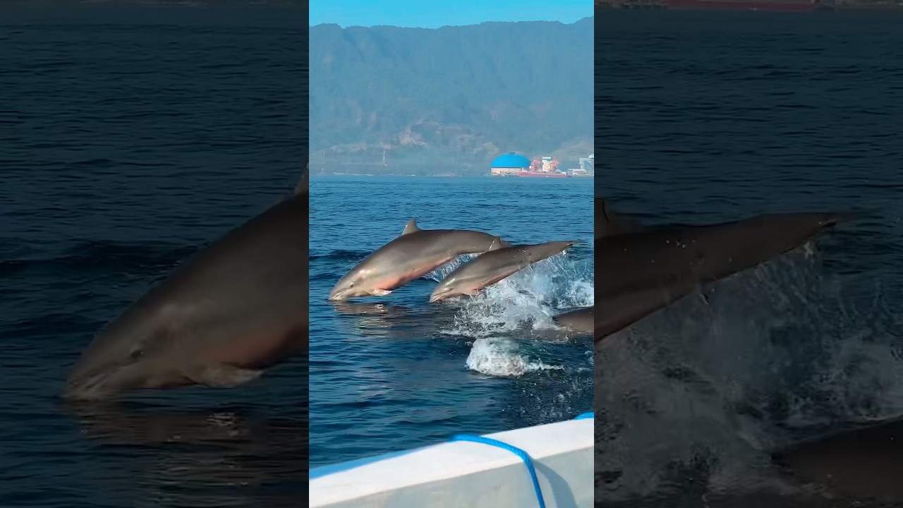 YouTube Short thumbnail